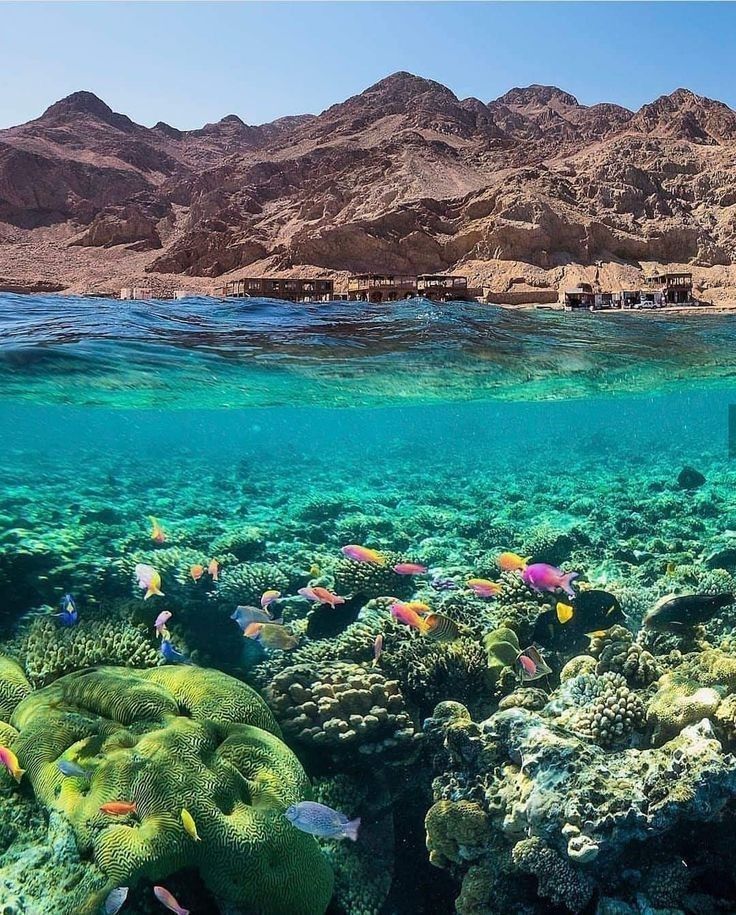 Sharm El Sheikh: Pure Magic with Ticketours